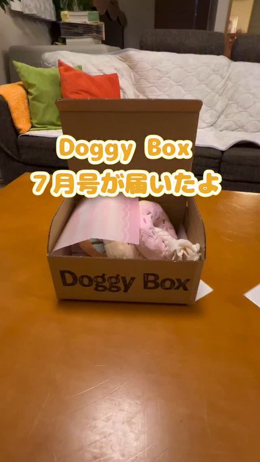Instagram post by @lindt2222 for Doggy Box. Caption reads: Doggy Box7月号が届いたよ🎁
#doggybox @doggybox_jp#pr.