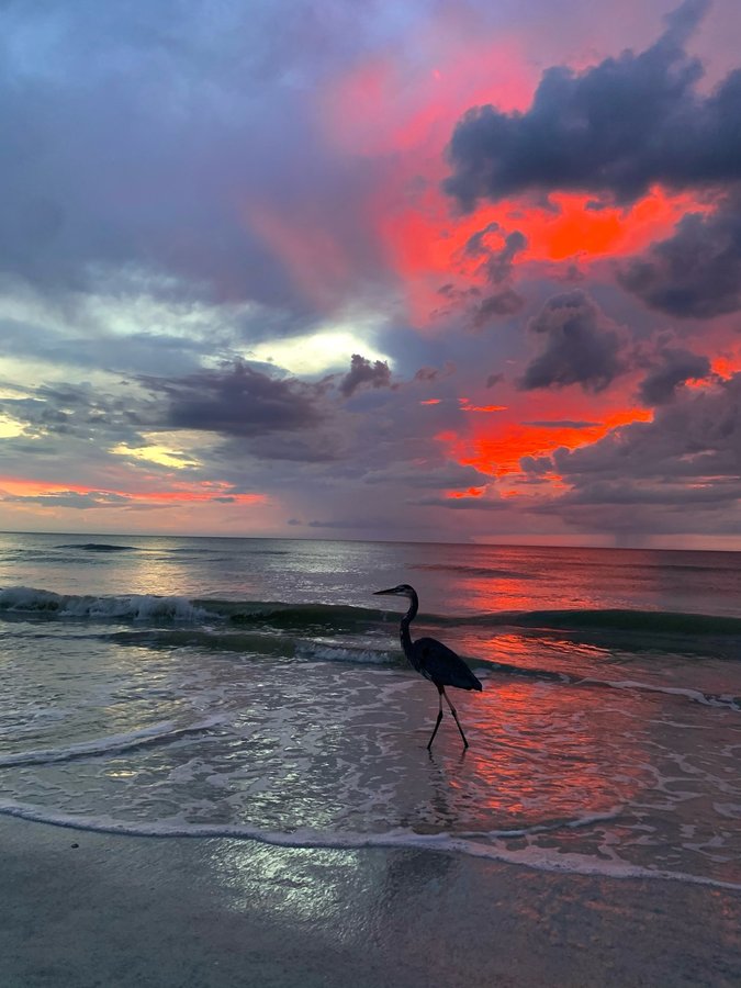 Instagram post by @ronie_sunsetlover for The Palm Beaches. Caption reads: “A lot goes wrong before everything goes....