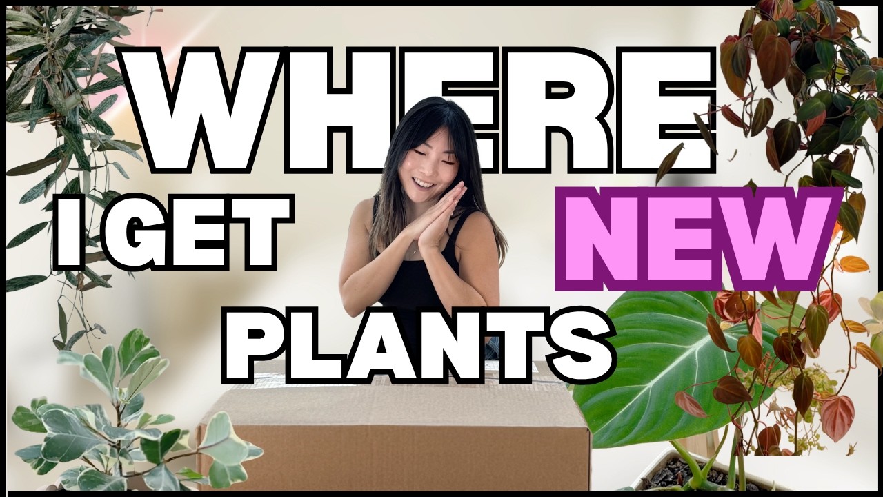 YouTube post by @ohtheplacesyoullgrow for Leroy’s Blend. Caption reads: Unboxing ALL NEW Plants + Grow Lights & Answering....
