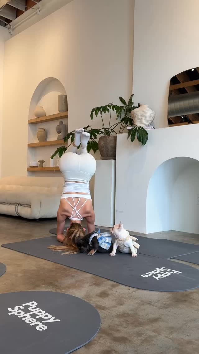 Instagram post by @sophiadiamond for Puppysphere. Caption reads: [...] puppies🙂‍↕️🫶🏼 Thank you to....