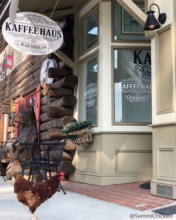 Instagram post by @sammichicken for Southern Living. Caption reads: I just met the nicest folks at @das_kaffee_haus! I....