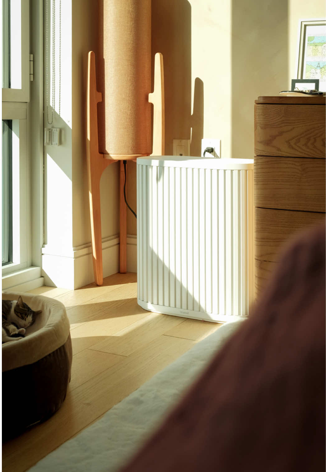 TikTok post by @adrianvvlogs for Windmill Air. Caption reads: [...] for a more peaceful space: @Windmill Air for....