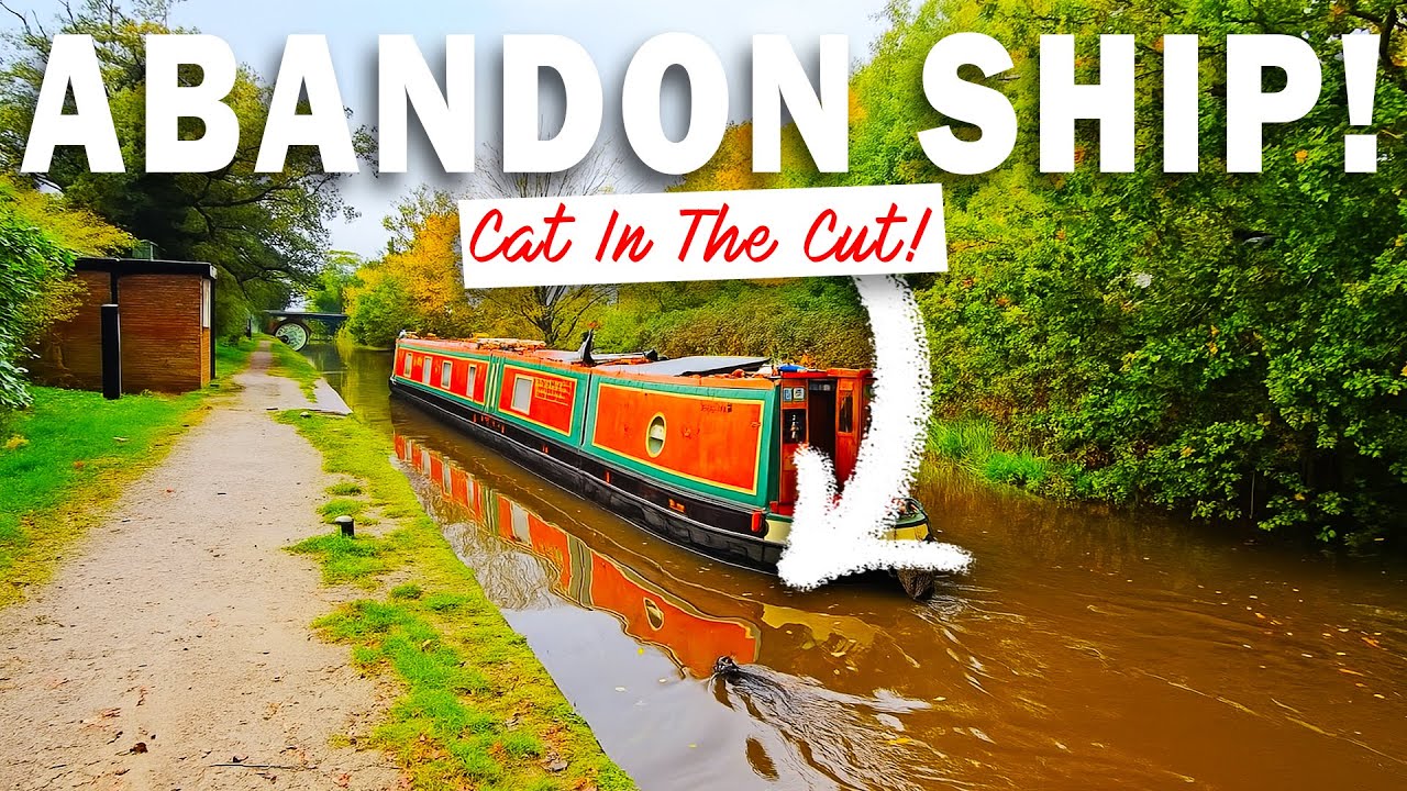 YouTube post by @TaylorsAboardaNarrowboat for EcoFlow. Caption reads: I HAD TO JUMP SHIP TO SAVE A CAT IN THE CANAL!....