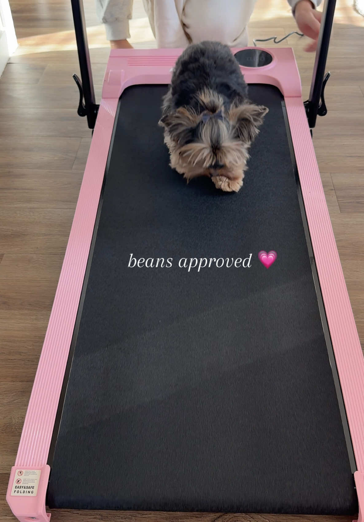 TikTok post by @sadiebaby08 for ancheer. Caption reads: yall im SO excited!!! 💗 @Ancheer  #treadmill....