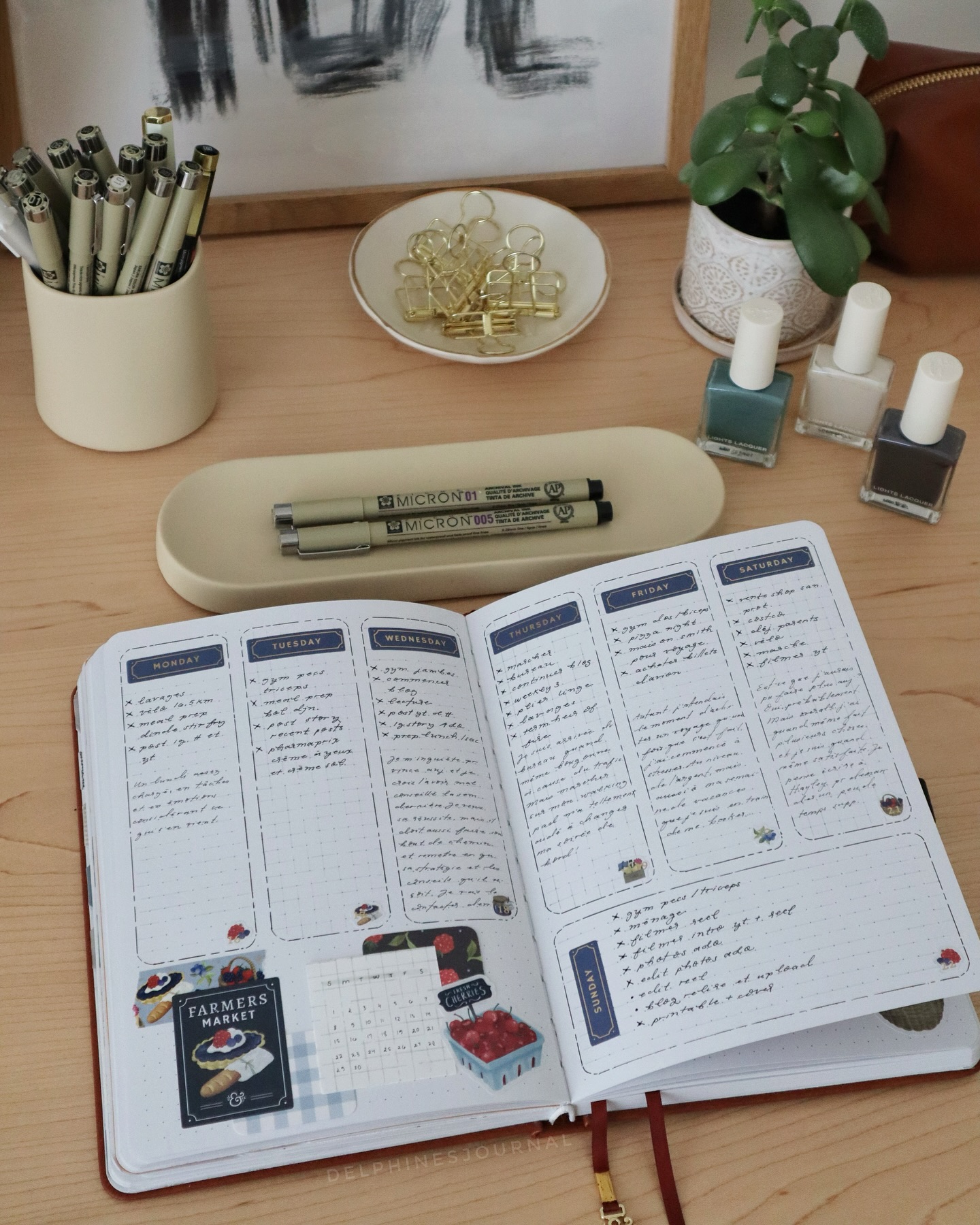 Instagram post by @delphinesjournal for Opposite Wall. Caption reads: My last June post showing you my last two weeklies....