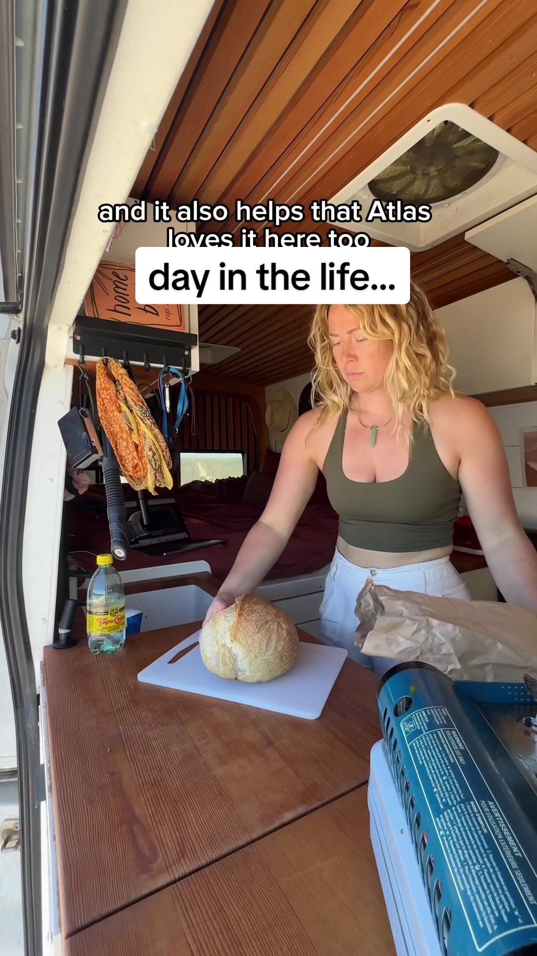 TikTok post by @quingable for Surfshark. Caption reads: [...] and I can't live without my VPN from....