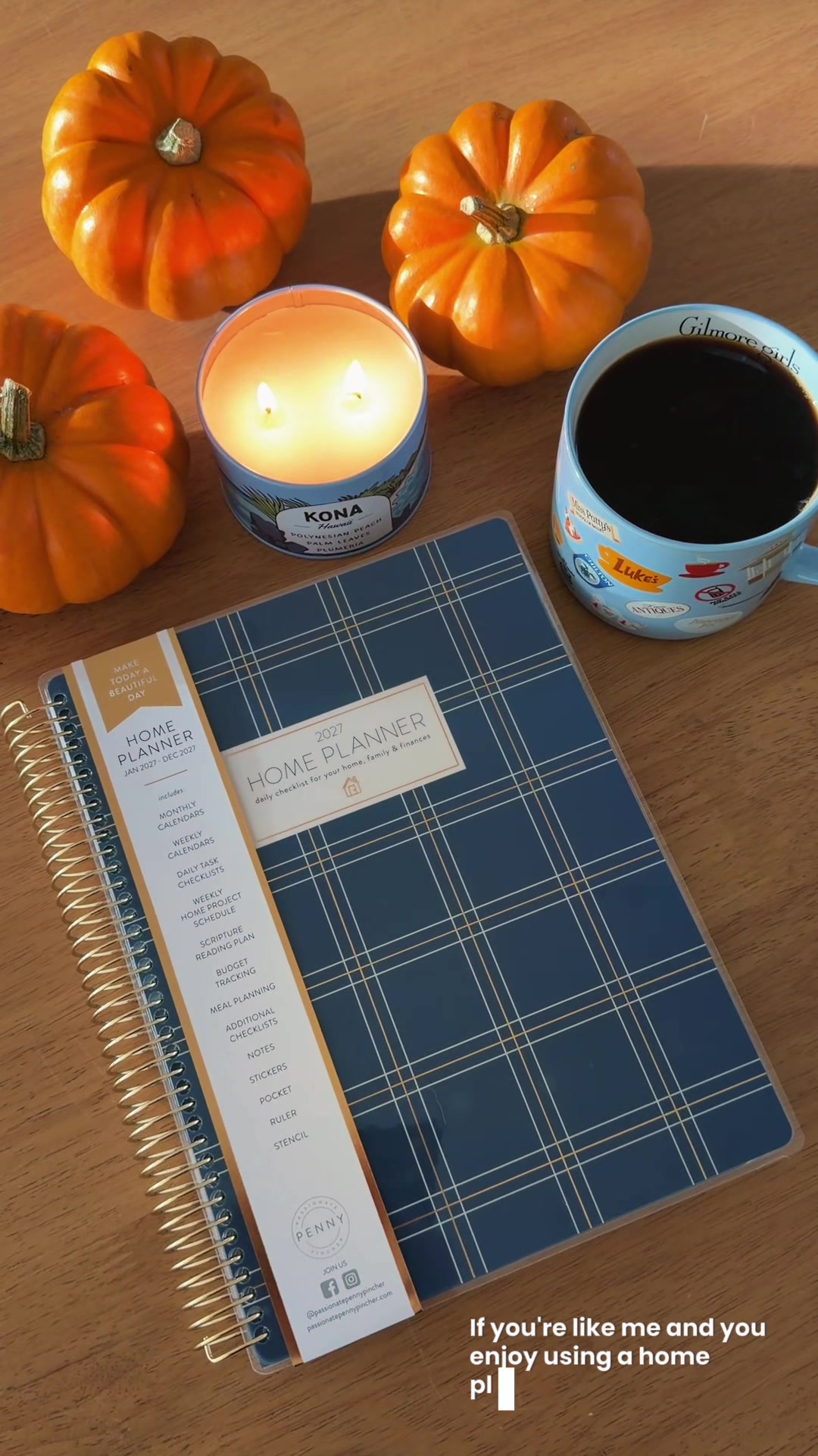 TikTok post by @theoverbecks for Passionate Penny Pincher Shop. Caption reads: [...] beautiful plaid planner by @Passionate Penny....
