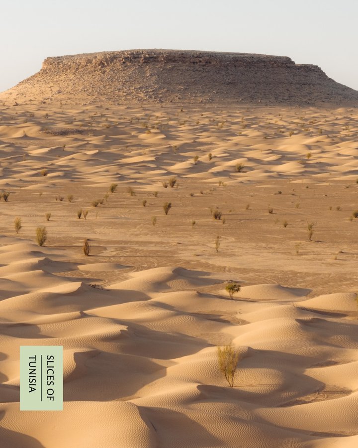 Instagram post by @michaelcgreenberg for Lonely Planet. Caption reads: "I never felt out of place in Tunisia," says....