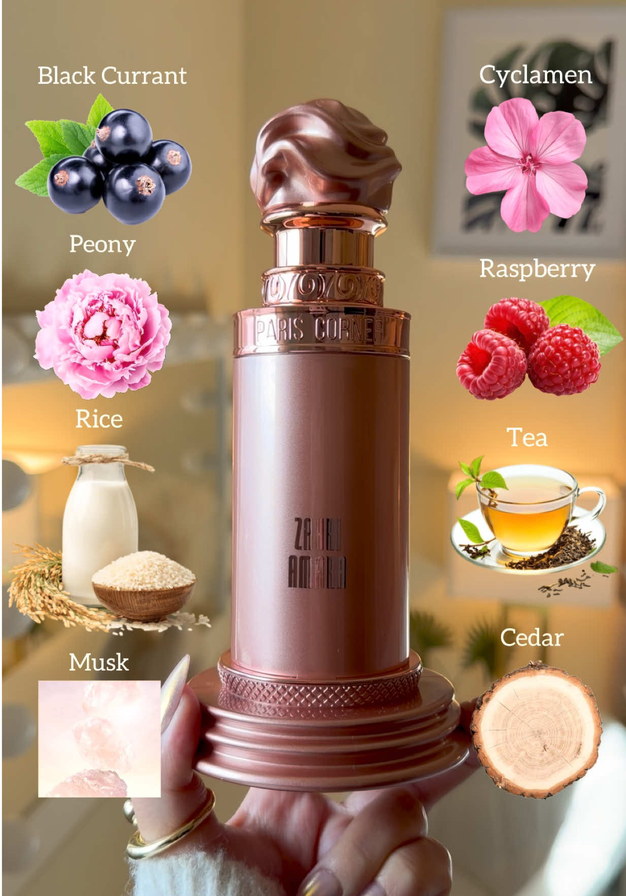 TikTok post by @gabbyfragrances for Aroma Concepts. Caption reads: Zahri Amara 🌸🫐🍚 @Paris Corner Official  Arabian....