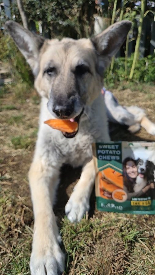 Instagram post by @_3dogs_2cats for Beloved Pets. Caption reads: I am so happy we found some new chews suitable for....