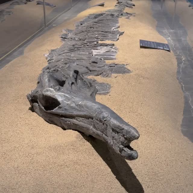 Instagram post by @duranosaur for Travel Nevada. Caption reads: @travelnevada  and visit the @nevadaart to see the....