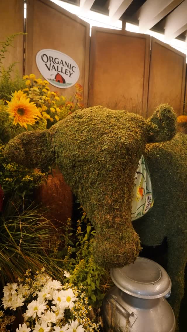 Instagram post by @joeycooksfoods for Organic Valley. Caption reads: #OrganicValleyPartner What was your favorite part....