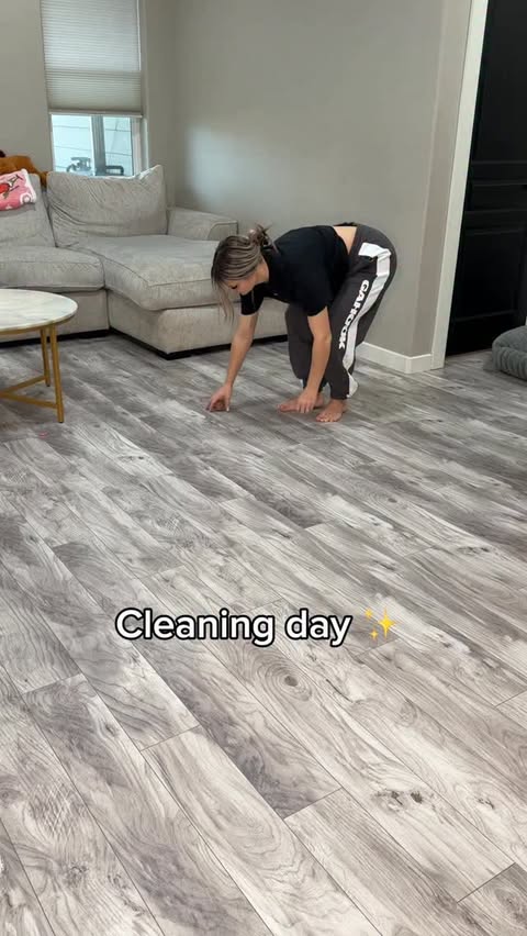 Instagram post by @kash.d.frenchie for Levoit. Caption reads: Cleaning day ✨ #levoitlifestyle #levoit....