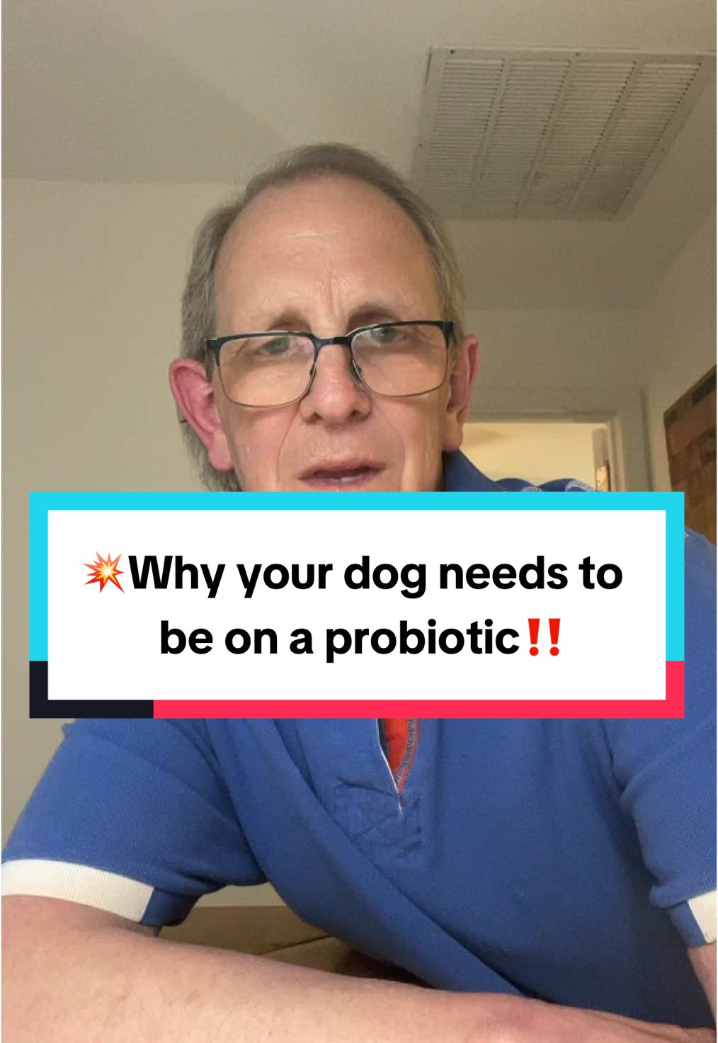 TikTok post by @johnspetsolutions for Native Pet. Caption reads: [...] dogdadp#petparentd#dogowner@N@Native....