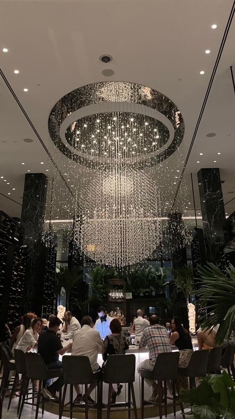 Instagram post by @mandyyliuu for Lively Root. Caption reads: [...] into a pet-friendly jungle 🪴🐾 #livelyroot....