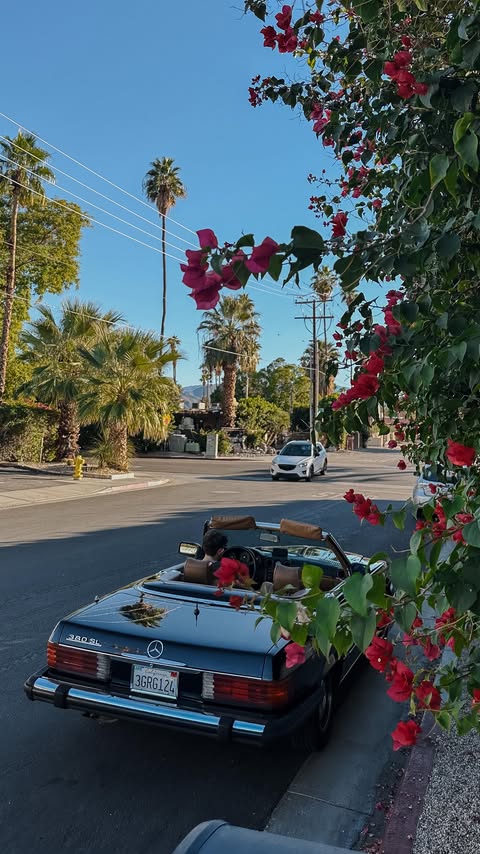 Instagram post by @hey.candace for Alaska Airlines. Caption reads: Me when I remember I have free will & need a quick....