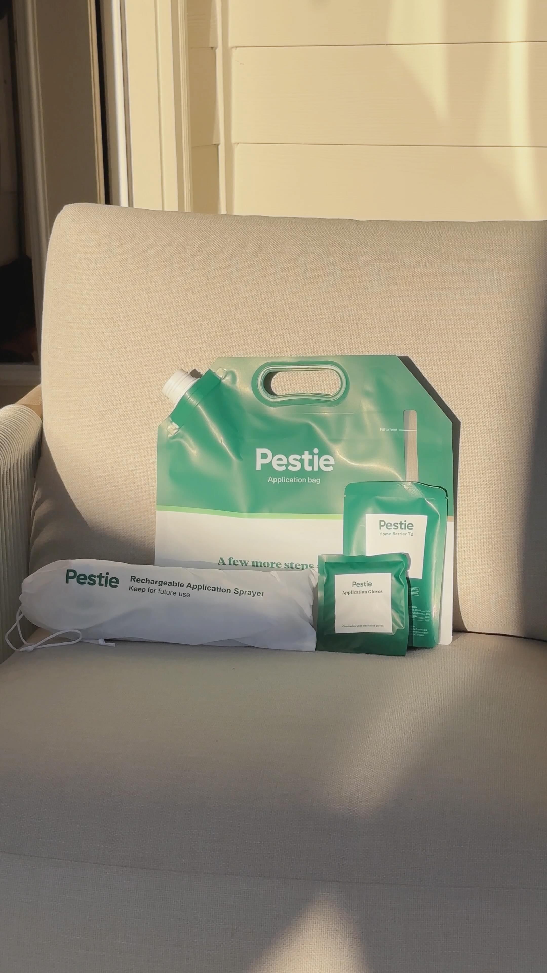 Instagram post by @wongs.est.2016 for Pestie. Caption reads: Bugs are everywhere in Georgia 🕷️, but Pestie....