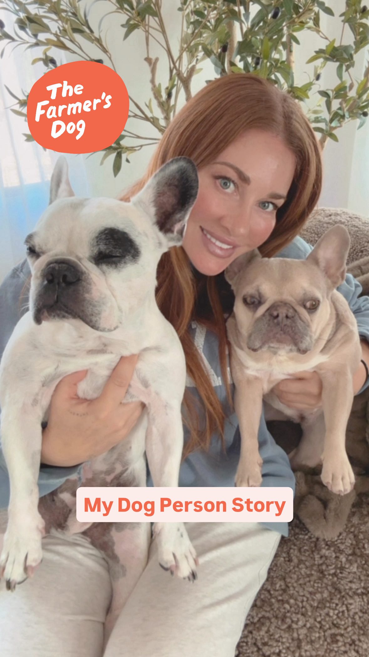 Instagram post by @waltergeoffreythefrenchie for The Farmer's Dog. Caption reads: Are you a dog person? Would love to hear your....