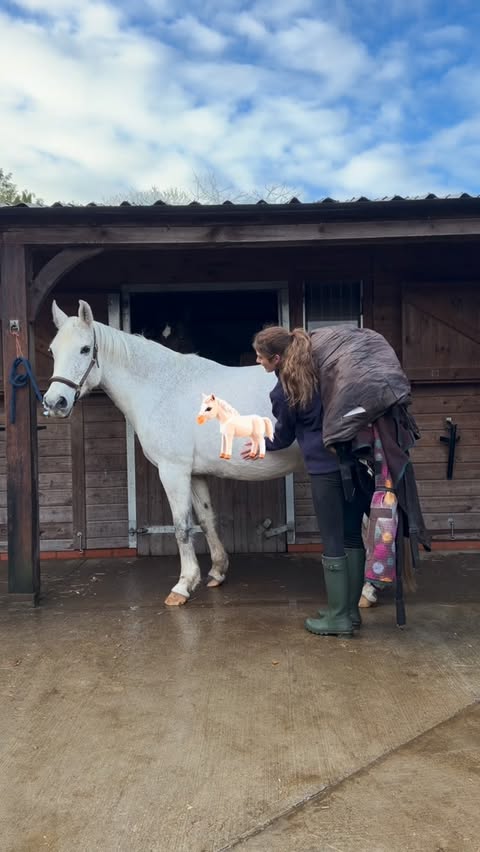 Instagram post by @mollymariecook for Shires Equestrian. Caption reads: Spend a busy Saturday with me 🤪 Countryside |....