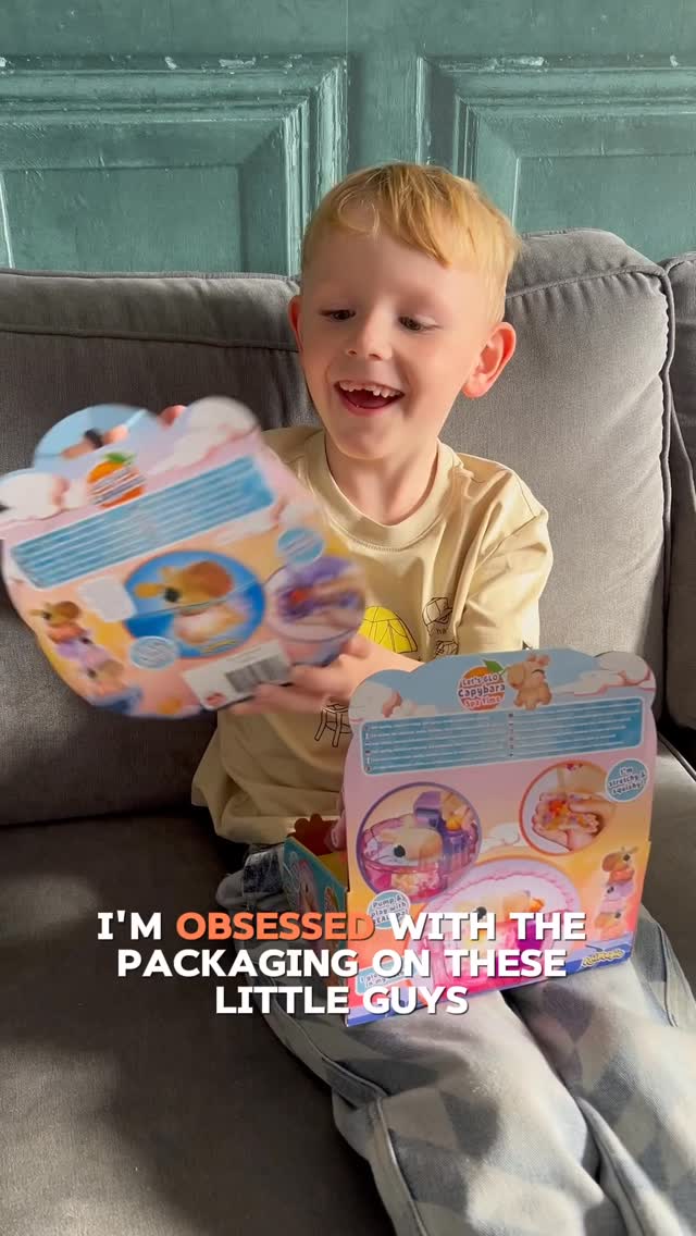 Instagram post by @thebabyandthehound for Wire PR. Caption reads: AD| Who else’s little ones are obsessed with....