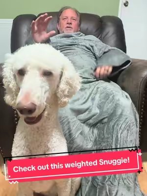 TikTok post by @oakleythestandardpoodle for Snuggie. Caption reads: Five pounds from the weighted @Snuggie and fifty....