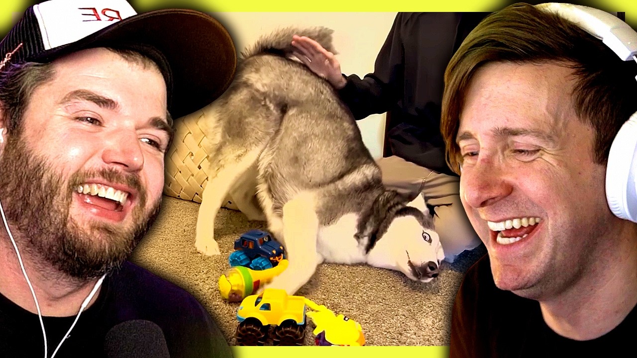 YouTube post by @BigJigglyPanda for Raycon. Caption reads: These funny dog videos had us HOWLING!.