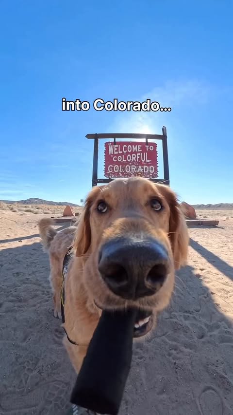 Instagram post by @willys360world for Hertz. Caption reads: Off for day 2 of the Hertz Gold Squad road trip!....