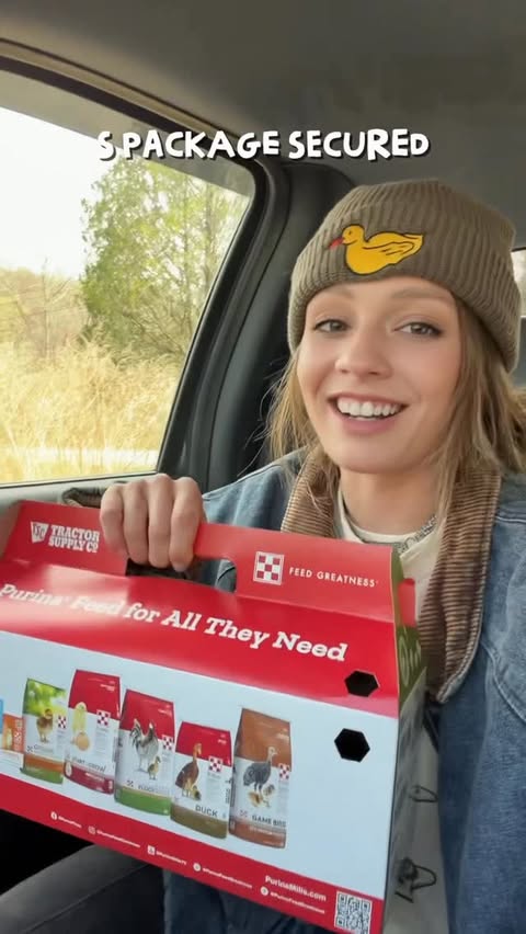 Instagram post by @cheez_and_quacker for Tractor Supply. Caption reads: [...] to watch my new chicks grow up! What....