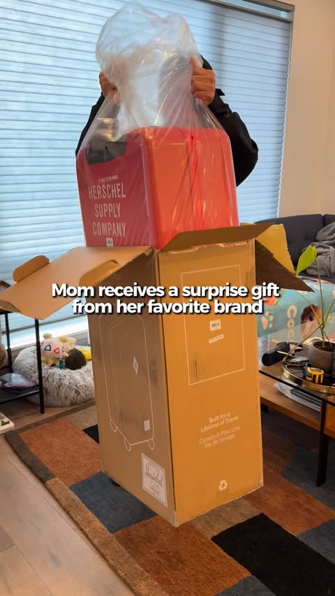 Instagram post by @thekoreanmama for Heinz. Caption reads: Thank you @heinz and @herschelsupply for making....