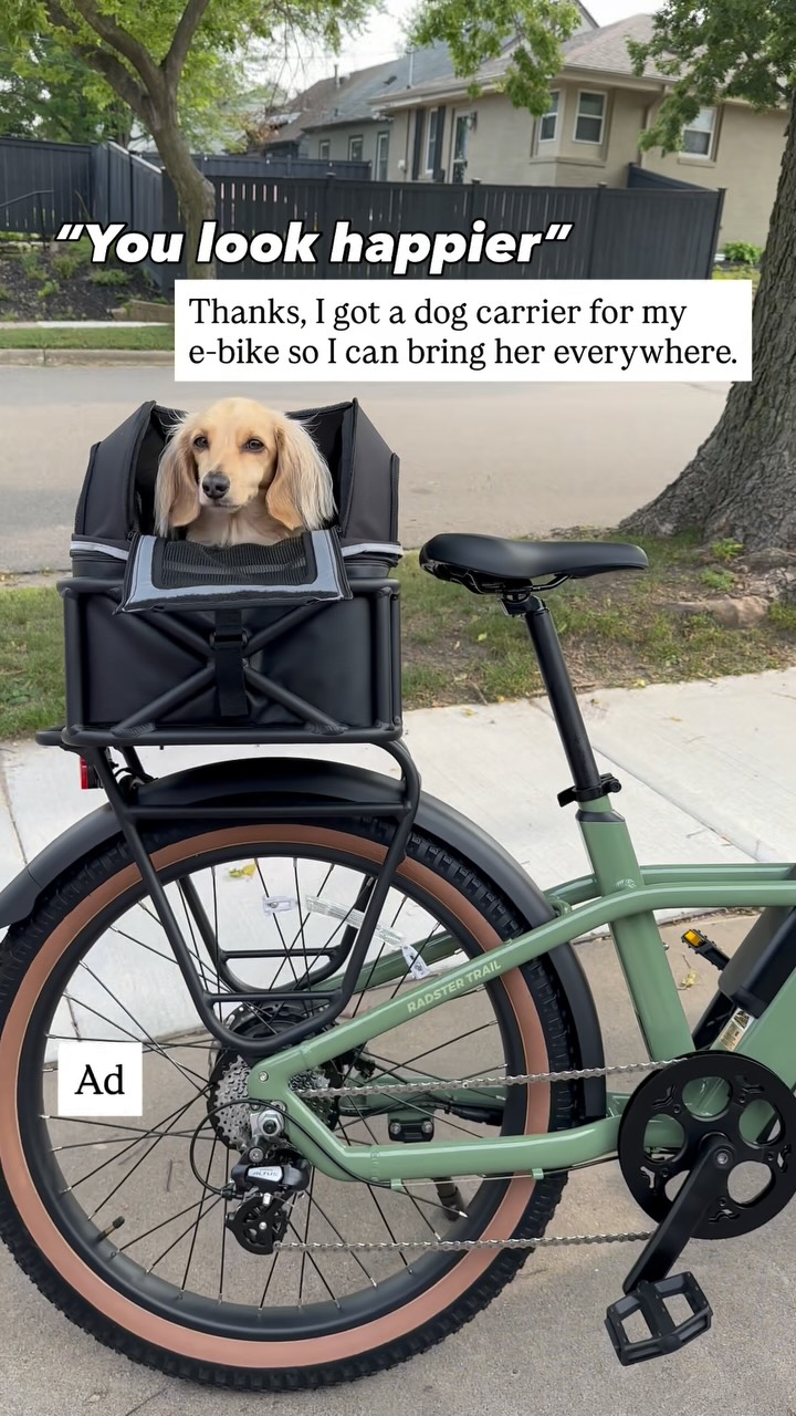 Instagram post by @mini.weenie.phoebe for Rad Power Bikes. Caption reads: My dog is now a certified Biker Chick 😎.