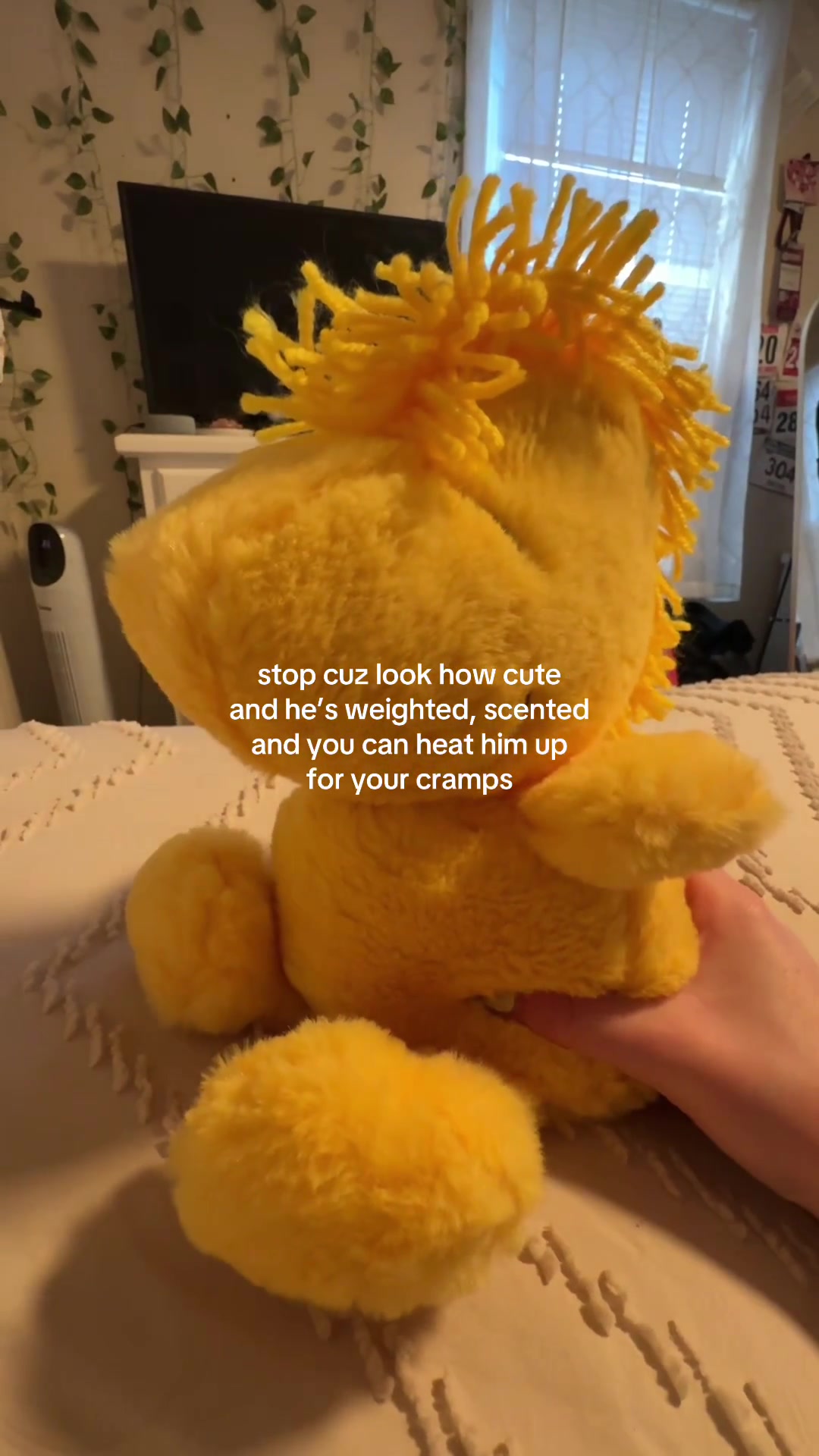 TikTok post by @heleneshevick for Warmies. Caption reads: the cutest woodstock @Warmies #warmies #woodstock....