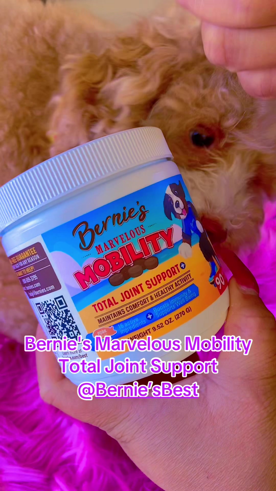 TikTok post by @heidylisseth6 for Bernie's Best. Caption reads: Bernie's Marvelous Mobility Total Joint Support....