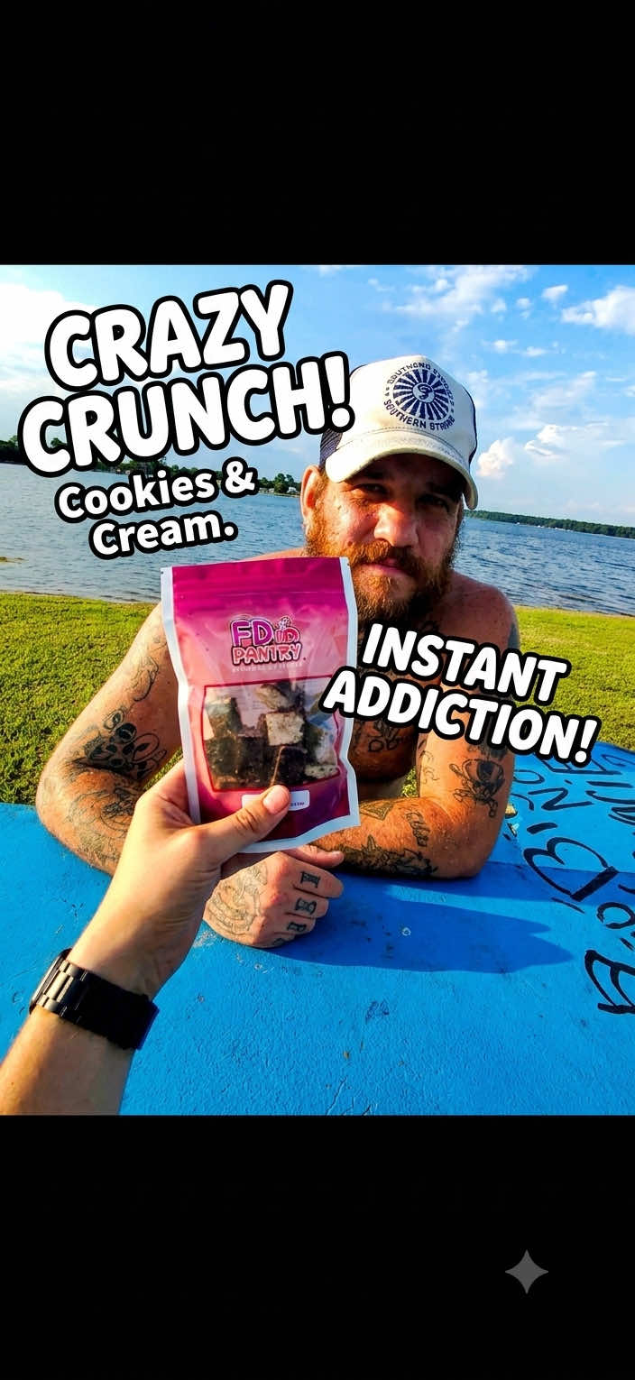 TikTok post by @eatpraycusswithlou for FD Pantry. Caption reads: FD Pantry Freeze-Dried Ice Cream Crunch Bites are....