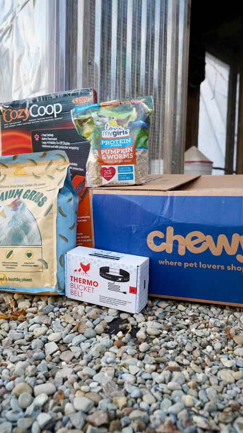 Instagram post by @purelychickens for Chewy. Caption reads: #ChewyPartner I have been so impressed with @chewy....