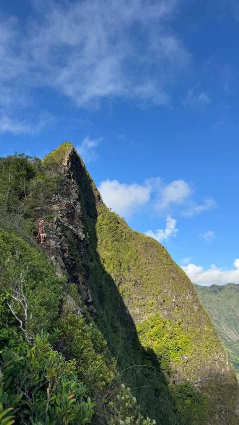 Instagram post by @nicolebookerr for collAble. Caption reads: [...] will still keep dressing cute in @alo....