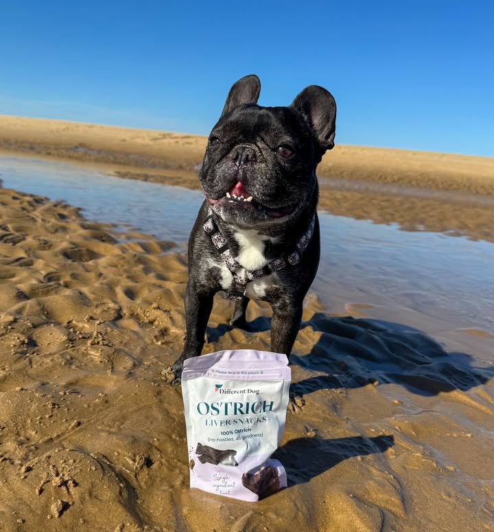 Instagram post by @louie_toes_frenchie for Different Dog. Caption reads: [...] delicious Ostrich Liver Snacks from....