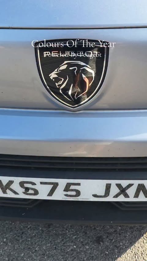 Instagram post by @nickthedecorator for Peugeot. Caption reads: AD Colours Of The Year Powered By Peugeot....