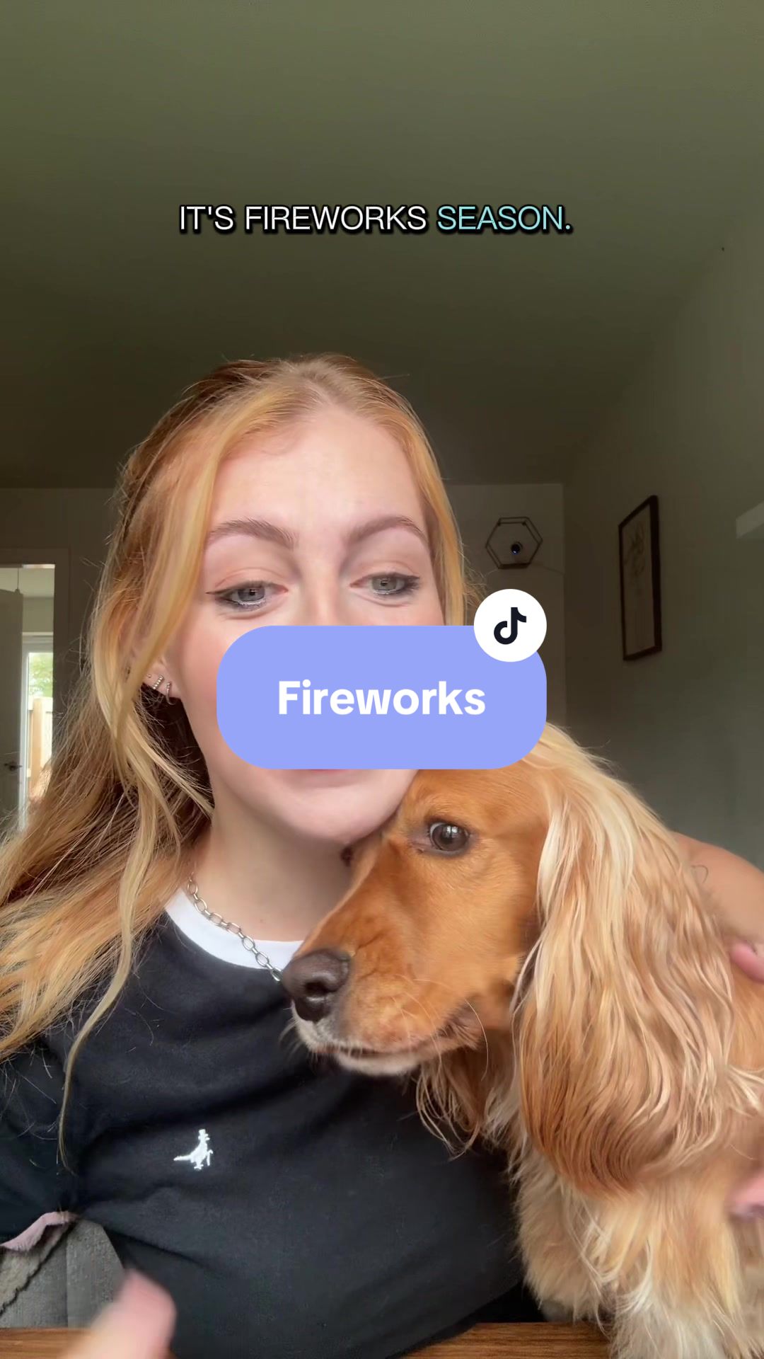 TikTok post by @bestbarkingbehaviour for Herbal Dog Co. Caption reads: Fireworks top tip! @Herbal Dog Company Official.