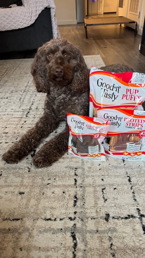 Instagram post by @thefluffyinfluencer for Good 'n' Fun. Caption reads: #ad @goodnfunchews have been such fun treats to....