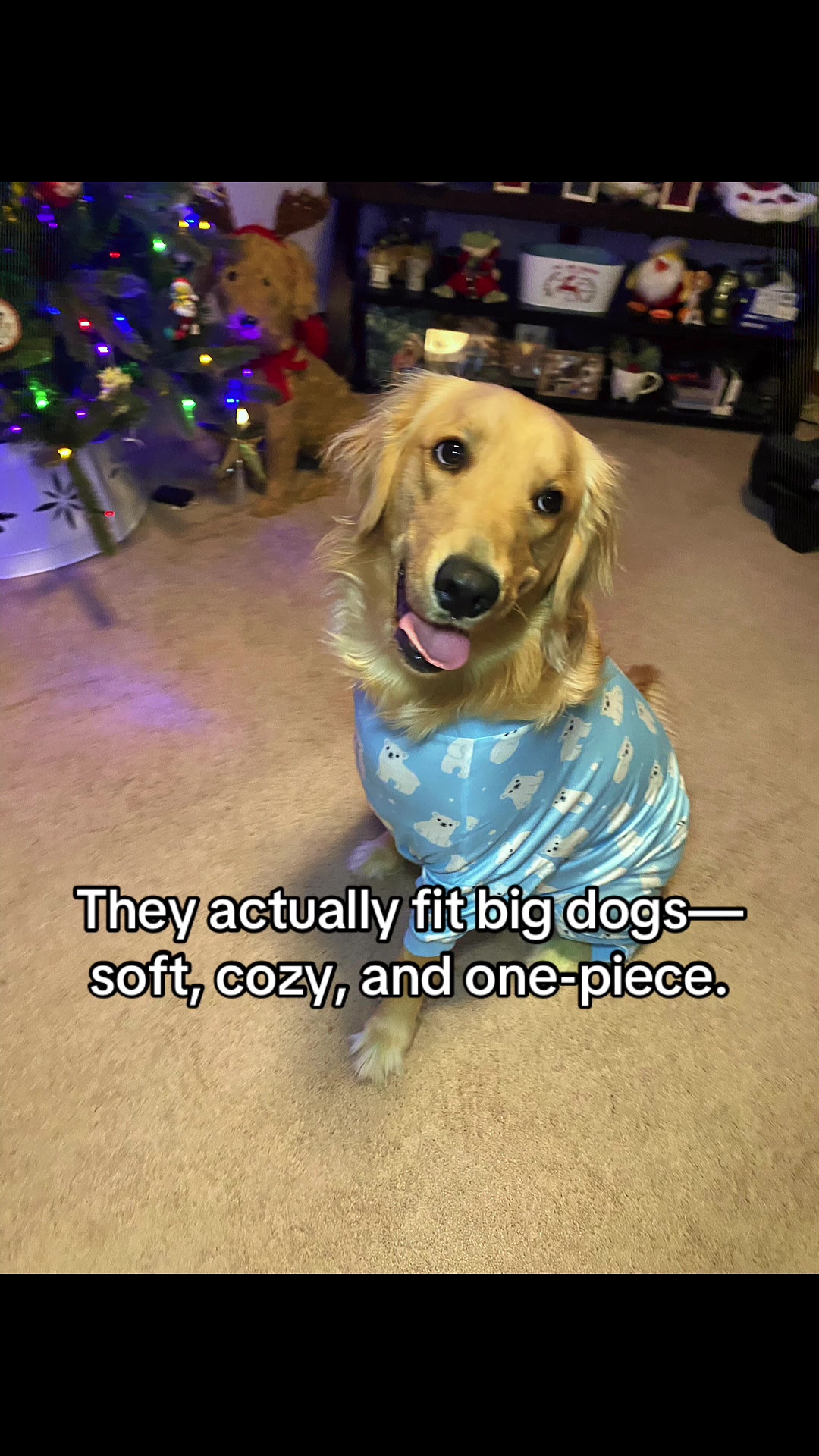 TikTok post by @doseofdakota for ShopHDE. Caption reads: [...] #DogTikTok #CozyDog #TikTokShopPets @ShopHDE.