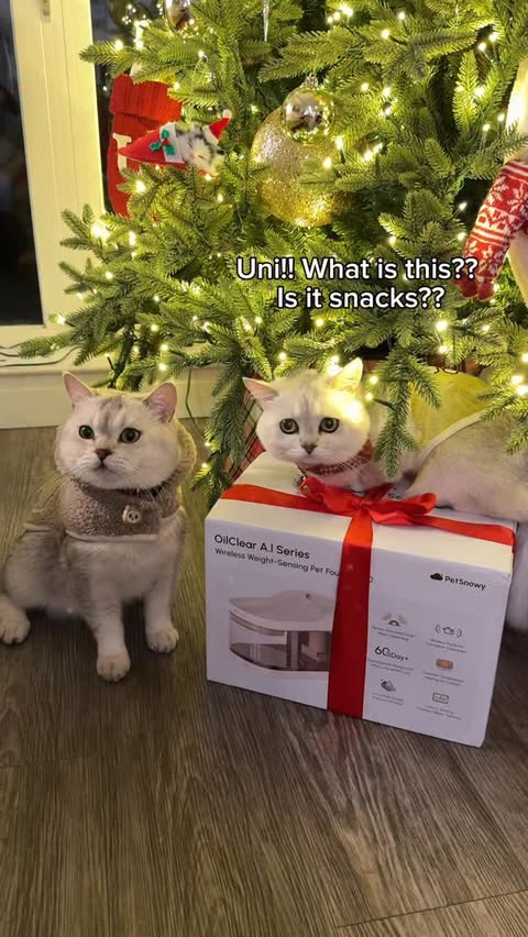 Instagram post by @unipawspaws for PetSnowy. Caption reads: [...] approved. 🐾💧
We’ve been using the....