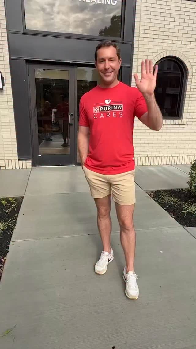 Instagram post by @jrwider for Purina. Caption reads: In honor of #domesticviolenceawarenessmonth,....