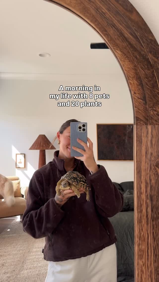 Instagram post by @dear.fig for Miracle-Gro. Caption reads: A day in my life with 8 pets and 20 plants 🌱
It’s....