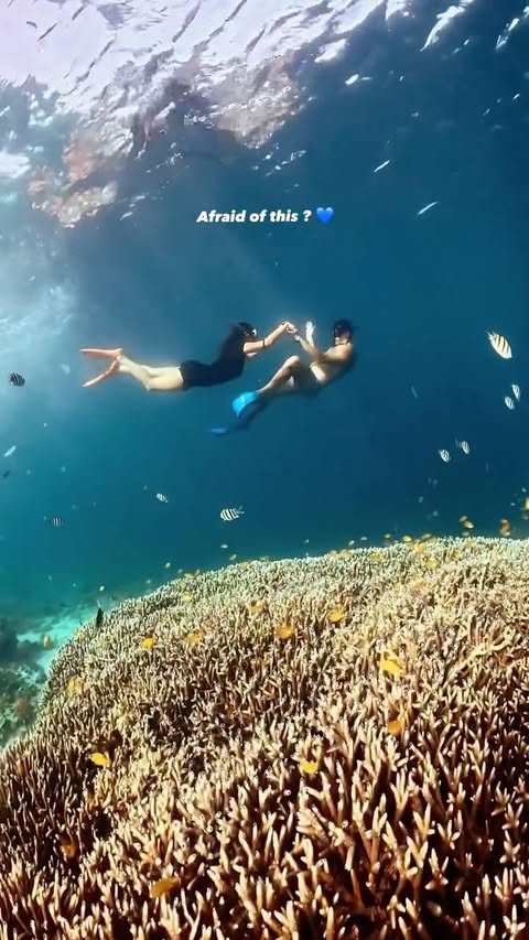 Instagram post by @azizmeski for Tripadvisor. Caption reads: The ocean in Gili islands is pure magic, crystal....