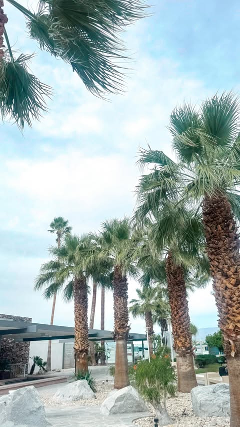 Instagram post by @ms.johnson.teaches for Walmart Creator. Caption reads: [...] @walmart #WalmartPartner 🌴✨ . . .....