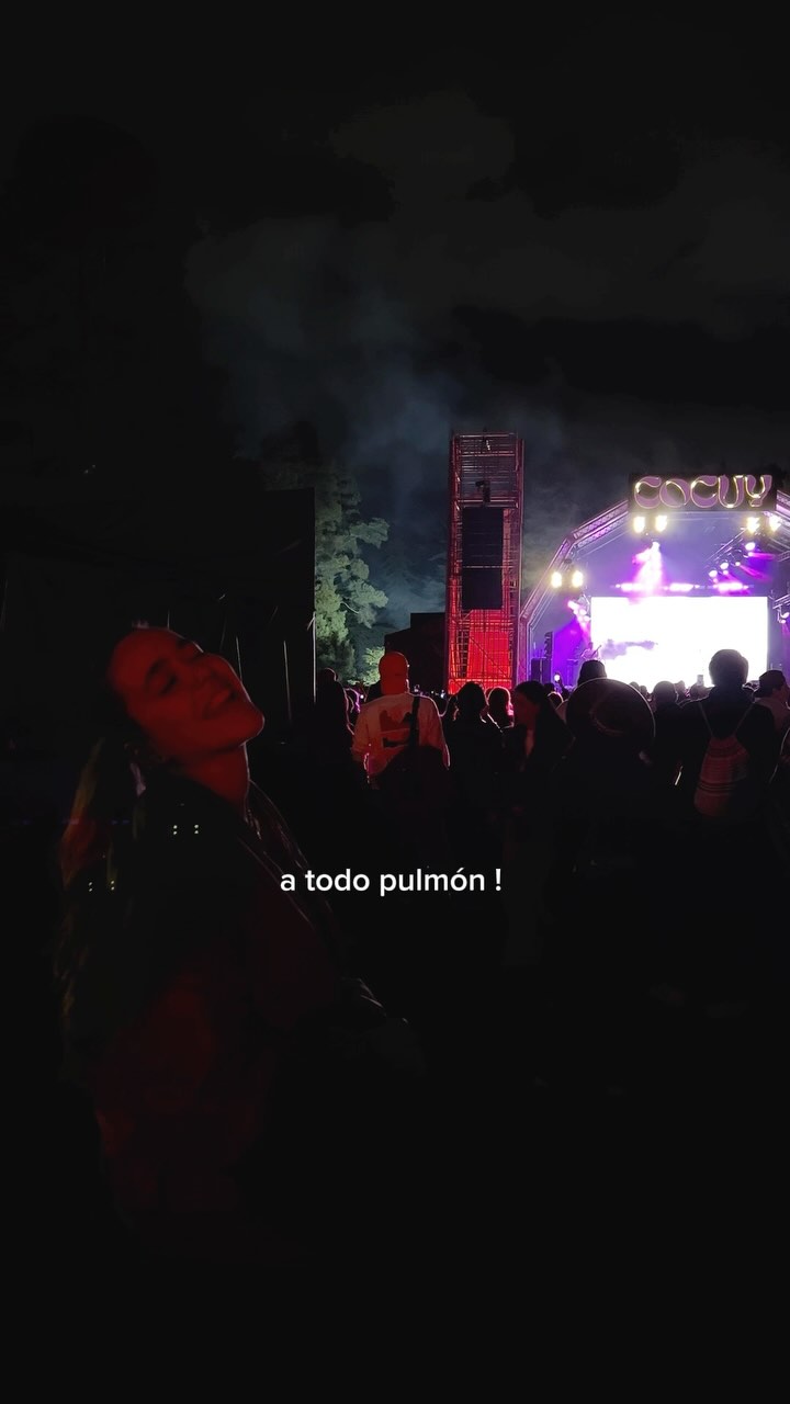 Instagram post by @valentinagomez.o for LATAM Airlines. Caption reads: Aterrizar con @latamairlines en Festivales es mi....