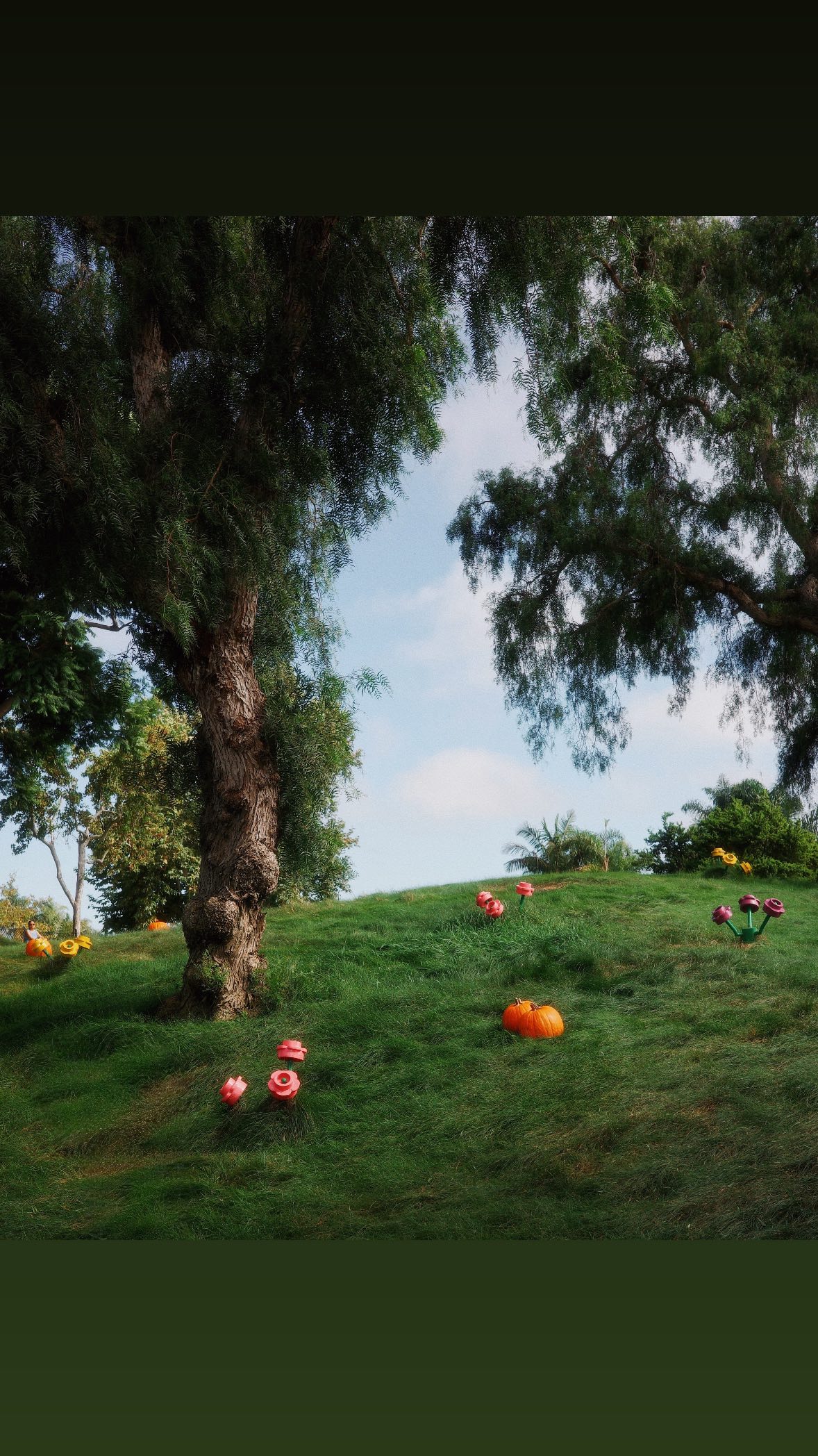 Instagram post by @reggiebphoto for Vsco. Caption reads: Unpopular opinion: editing should refine a photo....