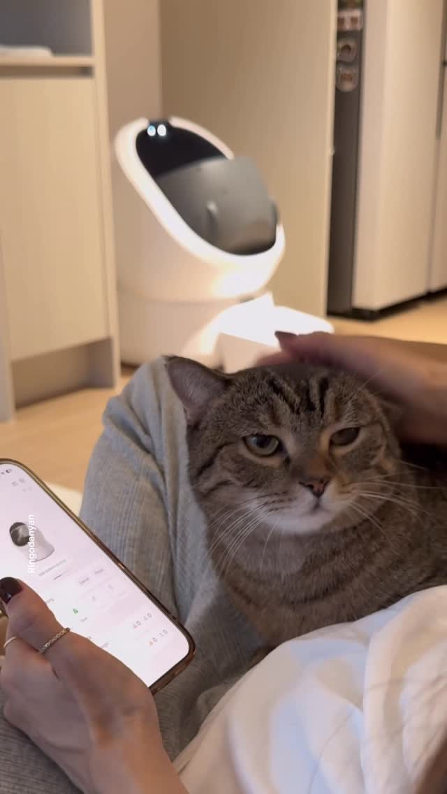 Instagram post by @ringodanyan for Petlibro. Caption reads: Seriously, my life as a cat parent got so much....