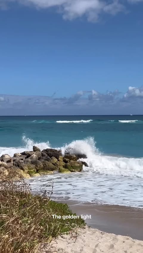 Instagram post by @olgaferrara_ny for The Palm Beaches. Caption reads: [...] beaches, food, art, and style — The Palm....
