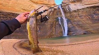 YouTube post by @bassntroutfishing for Piscifun. Caption reads: Trout Fishing a WATERFALL in the DESERT!! (Catch,....